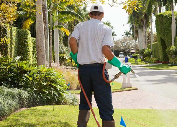 About Brownsville KY Pest Control